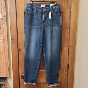 Lane Bryant Dark Blue Straight Leg Jeans